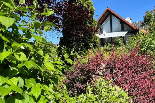 Attractive semi-detached house with balcony, terrace and well-maintained garden