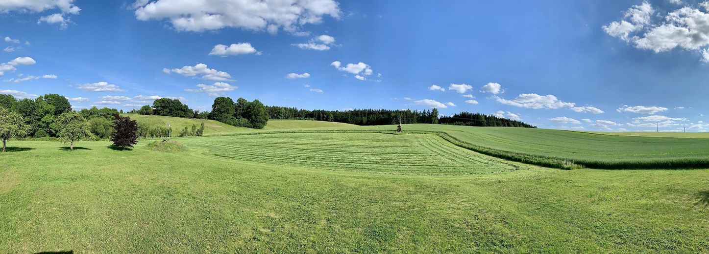 Blick vom Balkon