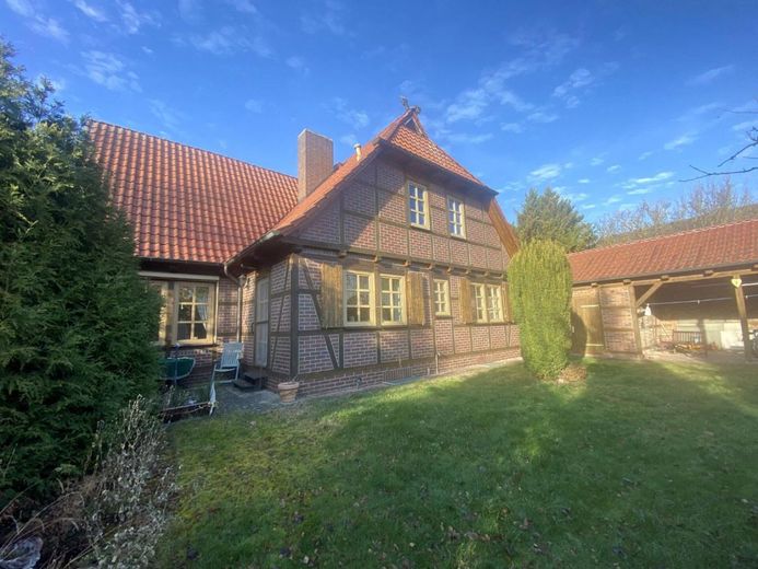 Bild 7