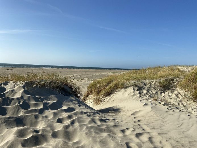 Dünen und Strand