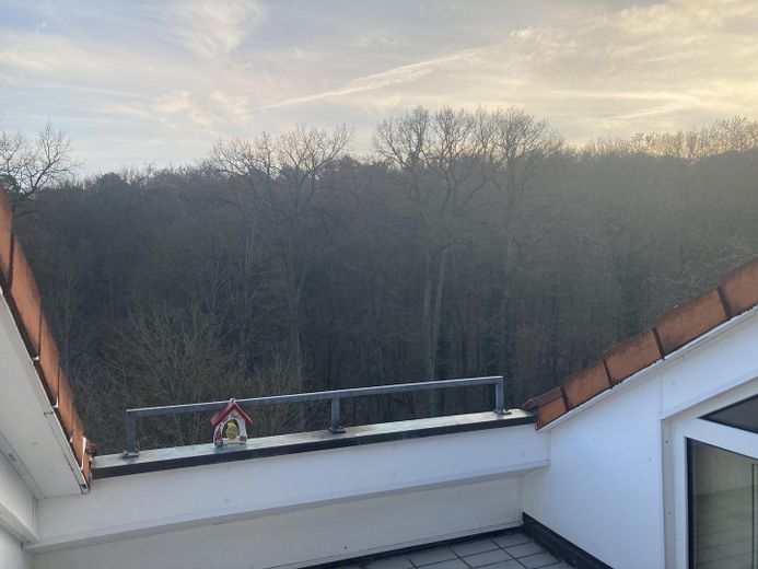Ruhig gelegene 2,5-Zimmer-Wohnung nahe Uniklinikum (UKW) – Loggia mit Blick Richtung Wald
