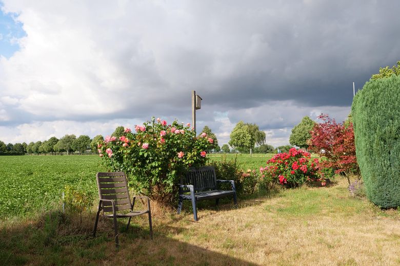 Garten hinten (Nord)