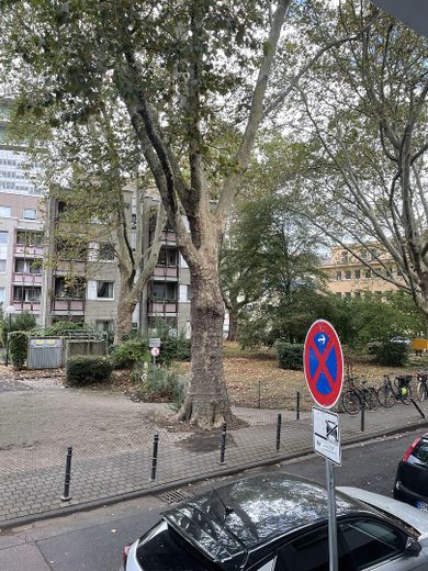 Gut geschnittene 2 Zimmer-Wohung im beliebten Kapitolviertel - frei – Foto 3