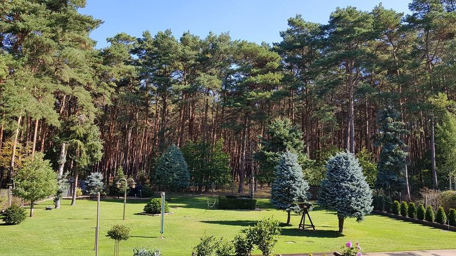 Blick in den Garten & Wald