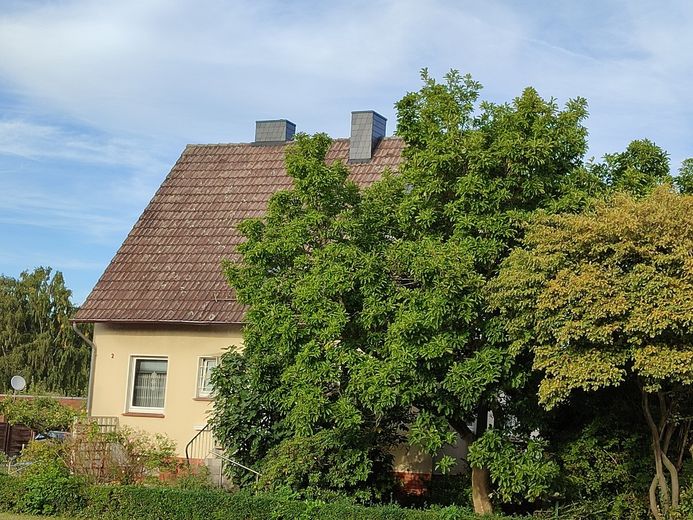 Eengezinswoning met potentieel in rustige ligging – Foto 1