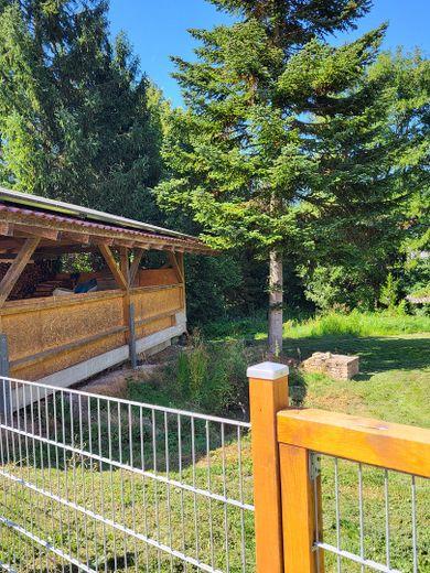 Casa unifamiliar completamente renovada con amplio jardín en una ubicación tranquila y bien comunicada – Garten Nord