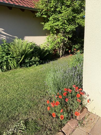 Field-edge location & sunset, detached single-family house with 224 sqm and PV system – Photo 28