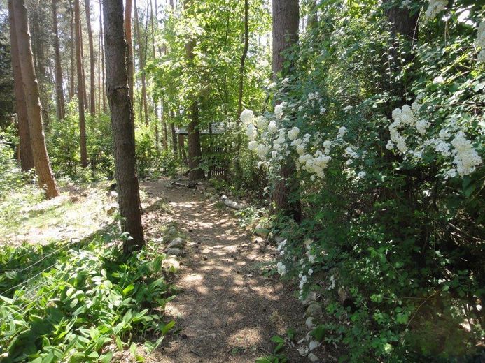 Deux maisons en rondins dans la forêt, location de vacances et habitation dans la réserve de biosphère de l’Elbtalaue – Weg zum Grundstückszugang