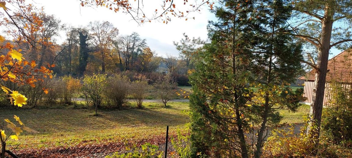 Blick vom Grundstück