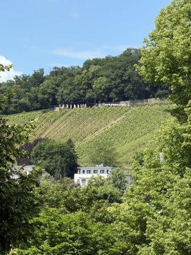 Seltene Gelegenheit!
Nerotal: 116 m² in bester Lage von Wiesbaden! 3 Zi, 2 Bäder, 2 Balkone, Garage – Blick Neroberg