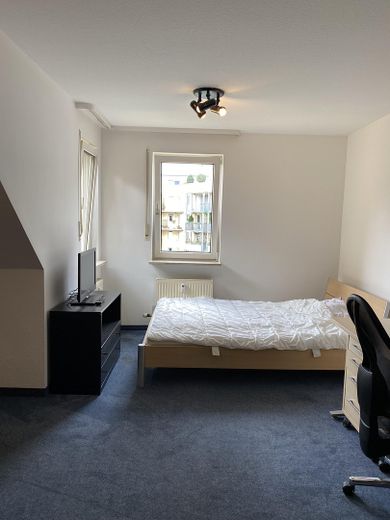 Möbliertes & helles Apartment direkt am Hauptbahnhof (HBF) – Foto 1
