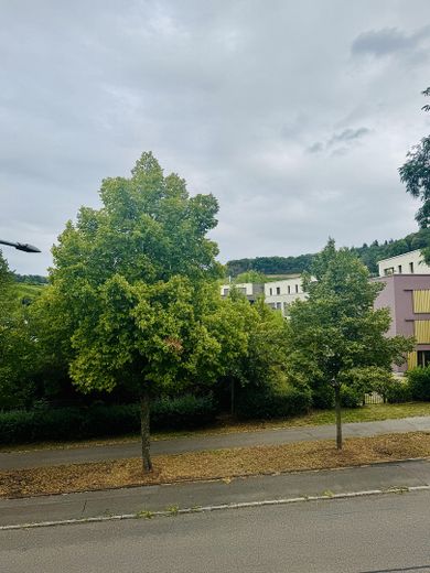 Gepflegte 3-Zimmerwohnung in Toplage von Heilbronn Ost – Blick aus Büro