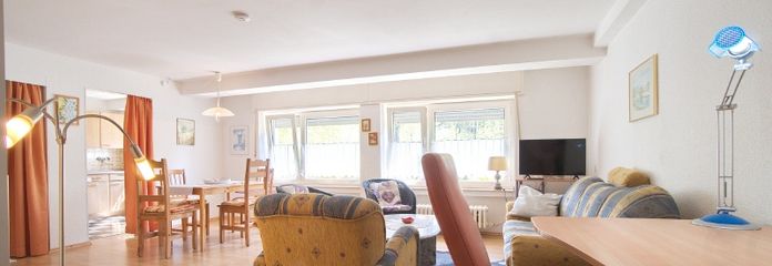 Spacieux appartement d’une pièce avec accès à Internet, dans un quartier résidentiel calme et verdoyant, place de stationnement possible – 7a92caa1802d17ff6f37fc752dc28abb3c4a46d7.jpg