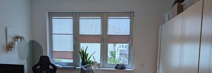 1. Zimmer