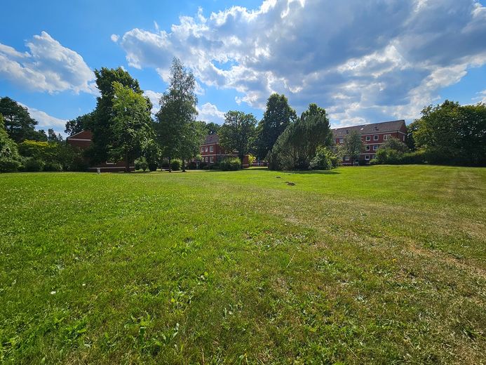 Modern wohnen im Alstertal – stilvoll modernisiert, Südloggia & provisionsfrei – Foto 15