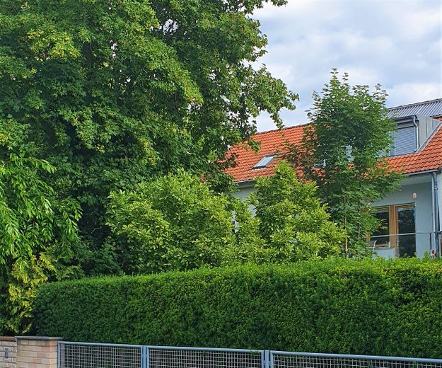 Viel Platz für die Familie am Marienbergpark – 160 m², 6 Zimmer, 2 Bäder, Südbalkon & Garage – Wohnen im Grünen