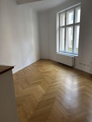 Tamamen yenilenmiş Berlin eski binası, gerçek ahşap parke – bahçe binasında sakin 1 odalı daire – Fotoğraf 3
