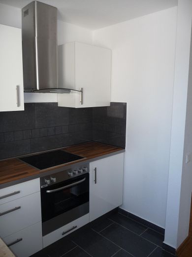 Kochbereich + Kühlschrank