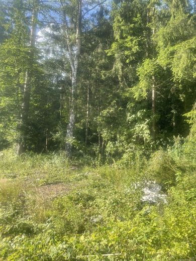 Investoren aufgepasst: Exklusive Kapitalanlage in Quickborn -MFH mit 4.386 m² Grundstück – Grundstück rechte Seite hinten