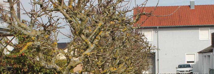 Gartengrundstück