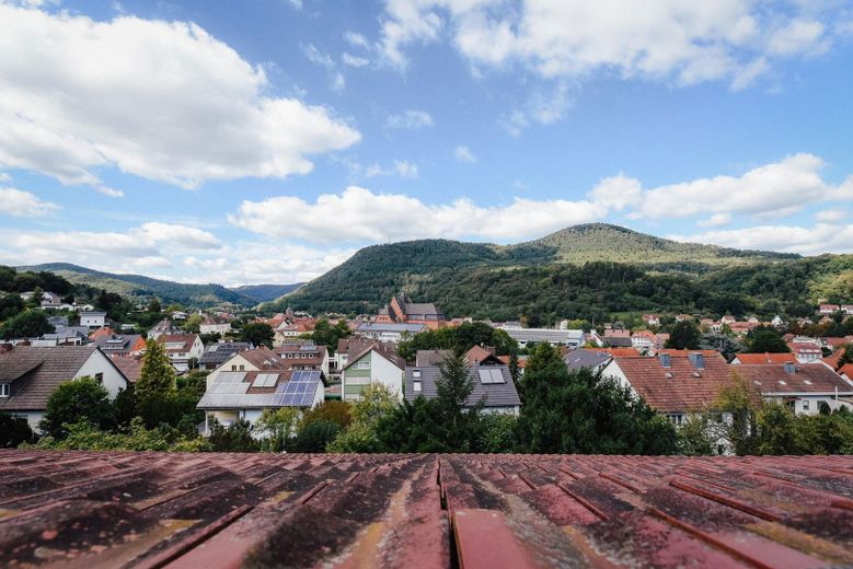 Toller Blick auf Annweiler