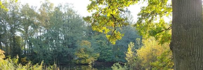 Seeblick