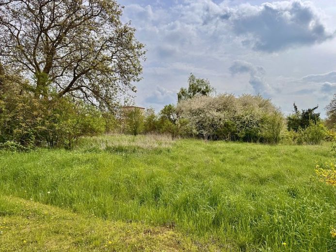 HORN IMMOBILIEN++ Dreifamilienhaus in Penkun mit großem Grundstück – Grundstück
