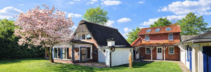 Reetdach