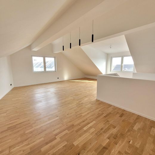 DG Studio