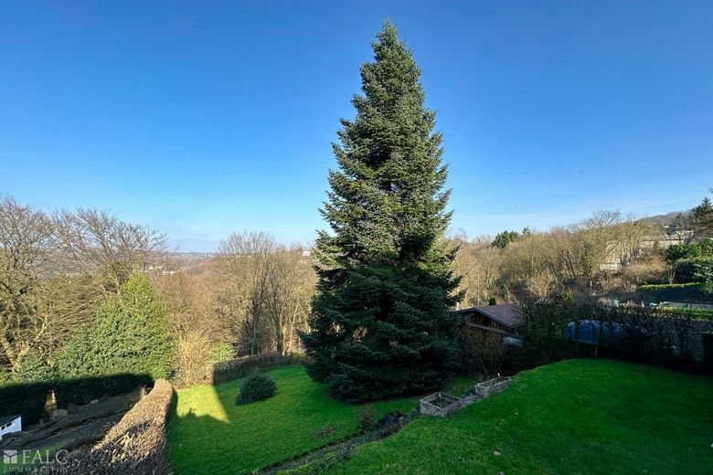 Attraktive, naturnahe Kapitalanlage mit riesigem Grundstück! – Garten