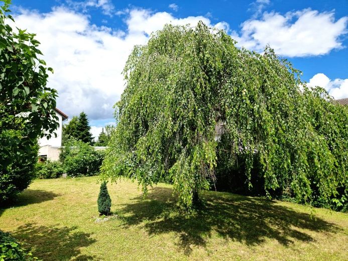 Garten hinten