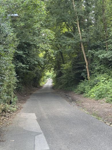Blick in die Straße