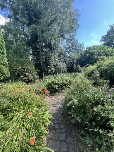 Garten / Teich