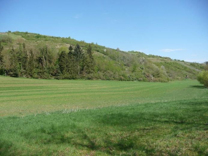 Ferienhaus, idyllisch gelegen – Aussicht