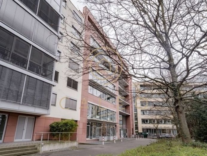 CALEO ¦ Sachsenhausen ¦ flexibel + sofort bezugsfertig ¦ all inclusive ¦ PROVISIONSFREI – Foto 1