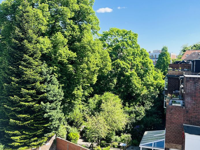 Dachterrasse mit Blick ins Grüne. Ganz oben. Ganz für sich. Ganz ruhig. Mitten im Wasserviertel. – Blick Dachterrasse