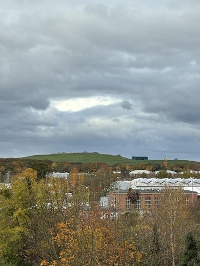 Blick aus der Küche