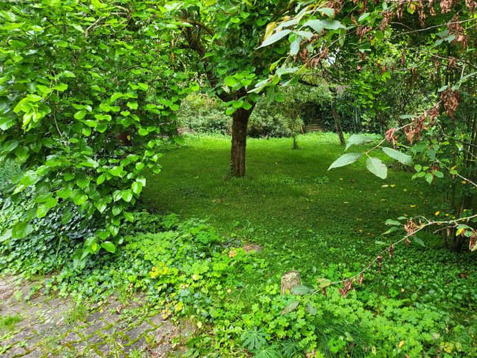 Offen - Hell - Besonders – Gartenmitbenutzung