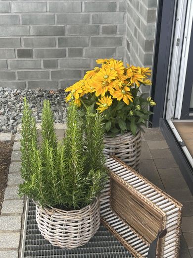 Villenhälfte Steuerbord – Foto 26
