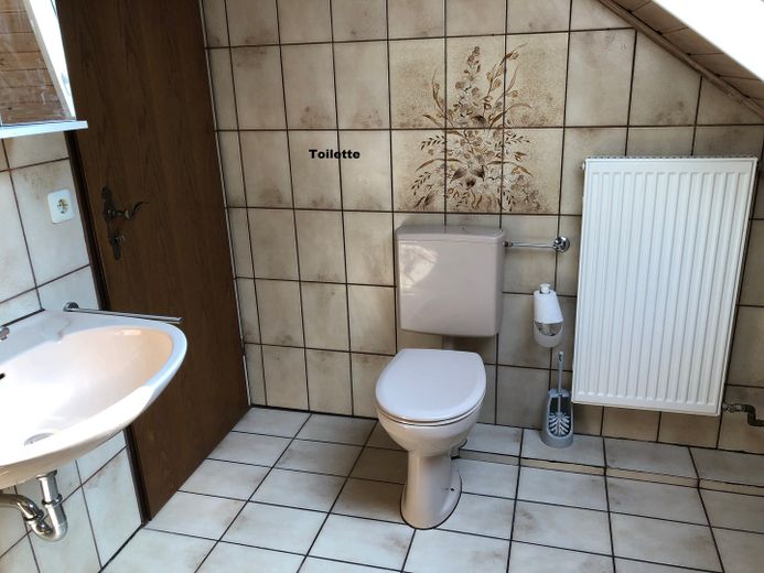 ruhige DG Wohnung mit Südb. in Wohnbereichstr. sucht langfristigen ruhigen Nichtraucher Mieter – Toilette