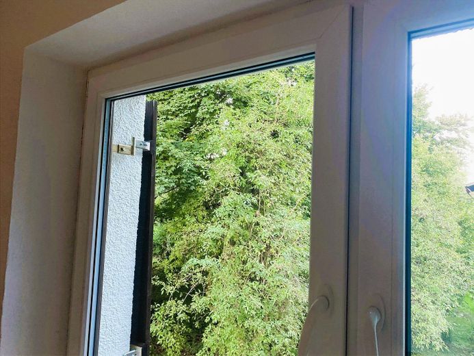 Blick ins Grüne