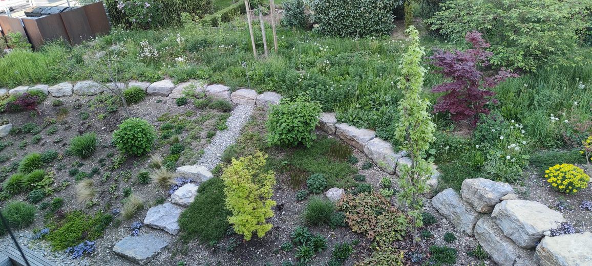 Blick in den Garten