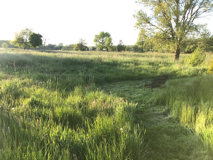 Ferieninvestment + Lebensperspektive + Land auf Rügen – Weide Flstk, 93
