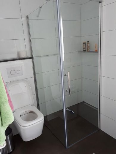 EG Gäste WC/ Dusche