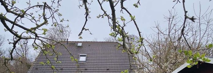 Einfamilienhaus mit 5 Zimmer, 2 Bäder, Terrasse und großem Grundstück im Ostseebad Nienhagen