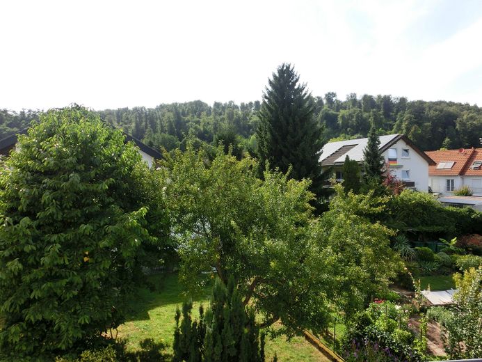 Charmantes Wohlfühlhaus mit Terrasse und kleinem Garten in gesuchter Lage – Blick aus dem Studio