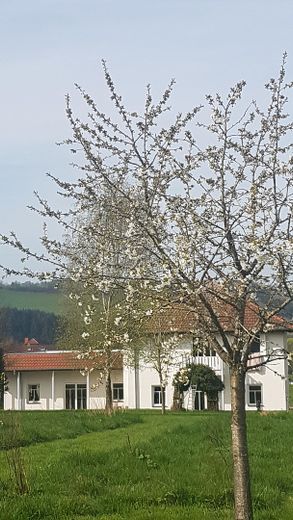 Frühling