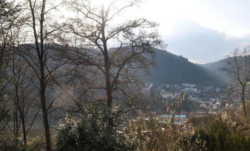 6,7%+ Rendite | Mehrfamilienhaus (9 Eigentumswohnungen) | Burgpanorama in Bad Liebenzell – Aussicht
