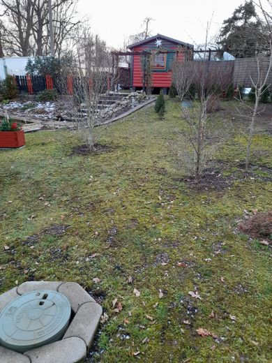 Lichtentanne, Grdst. + Bungalow – Foto 2