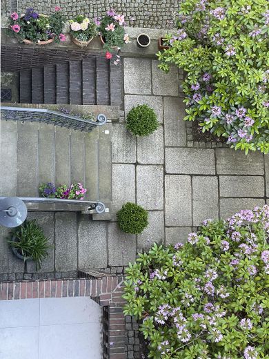 Großzügiges Familienhaus am Stadtpark – Eingewachsener Vorgarten